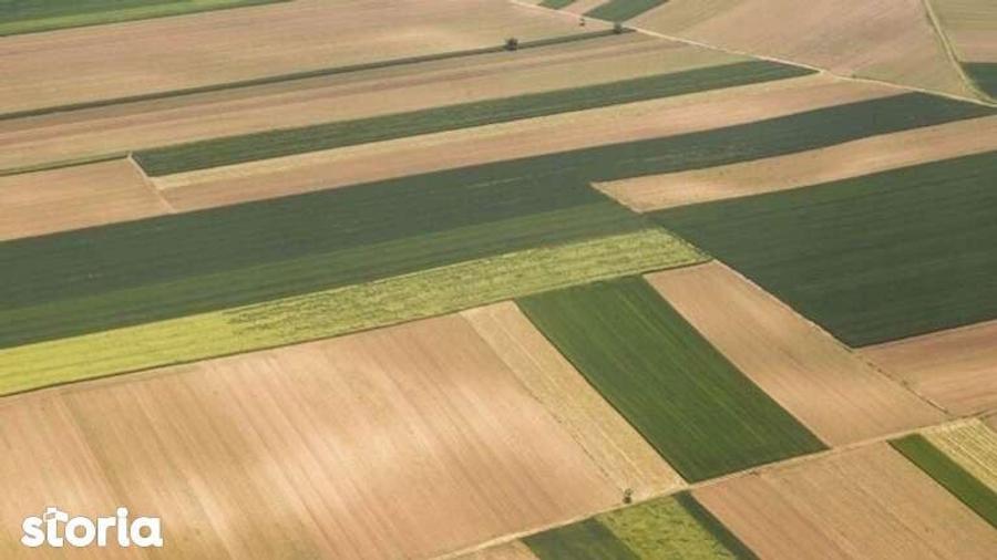 Teren de 92000 mp, în Târgușor