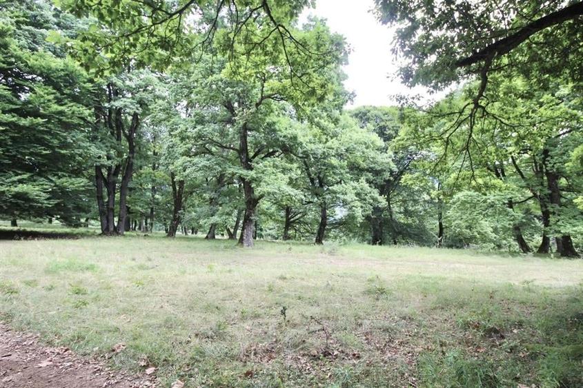 Teren Construcții intravilan de 4713 mp, în Poiana Brașov