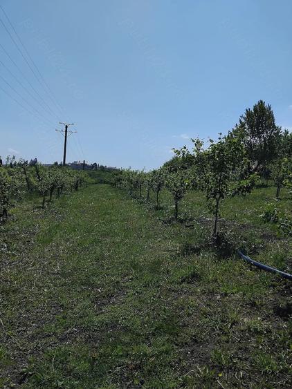 Teren de 6000 mp, în Fălticeni
