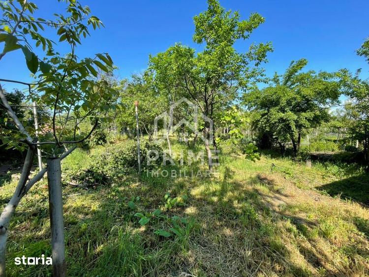 Casa individuala cu 3 dormitoare | teren 886 mp | Sebes | Zona Ultrace - 8