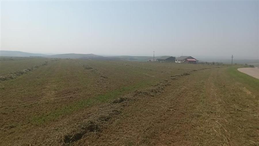 Teren Construcții intravilan de 6600 mp, în Rediu