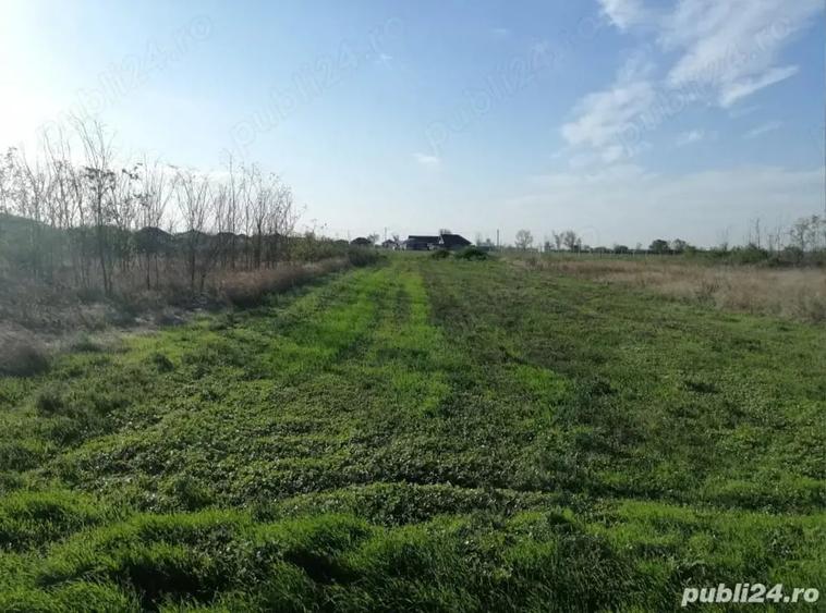 Teren de 1312 mp, în Vasile Alecsandri