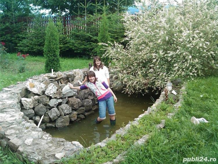 Casă cu 1 camere cu Teren 2000 Mp în Poieni-Solca