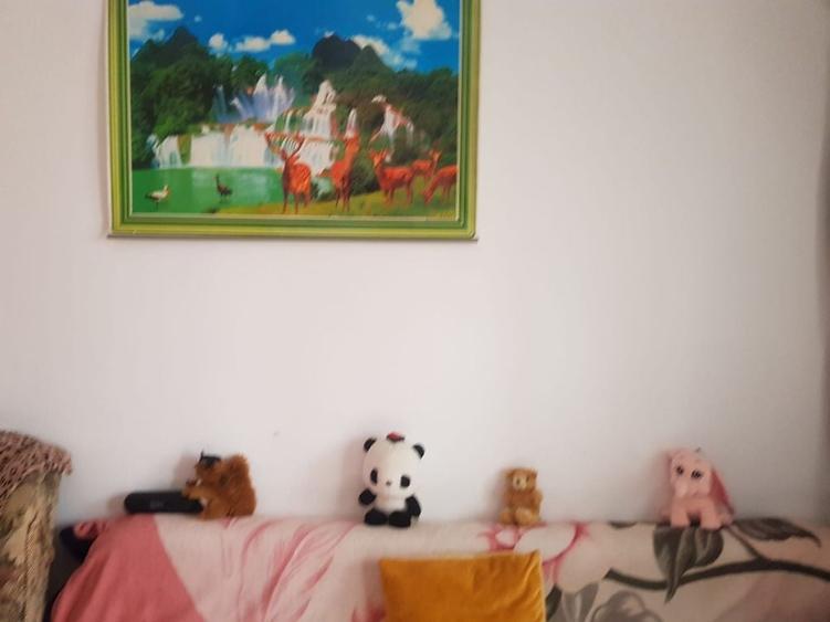 Apartament cu 2 camere nedecomandat în Central