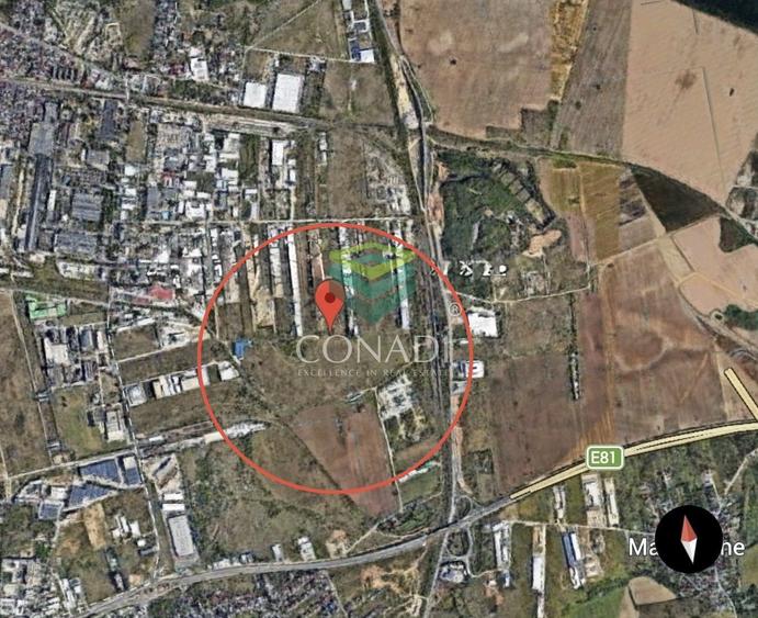 Teren Construcții intravilan de 18338 mp, în Cernica