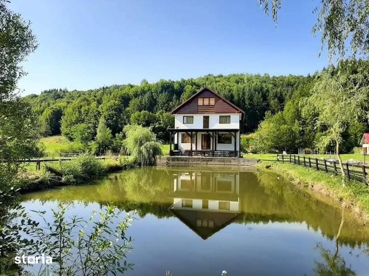 Casă cu 5 camere cu Teren 20000 Mp în Telciu