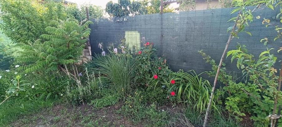 De vanzare teren in Cartierul Florilor la grani?a cu sectorul 5 - 1