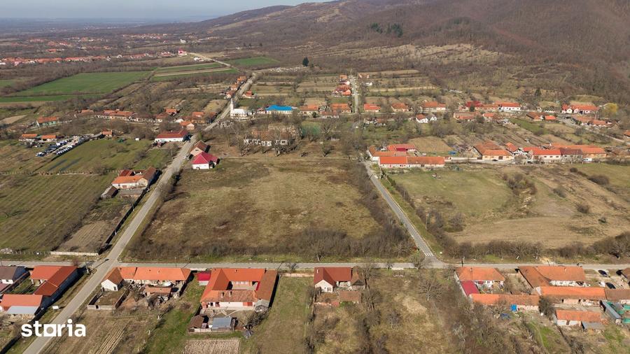 Casă cu 8 camere cu Teren 7235 Mp în Traian Vuia