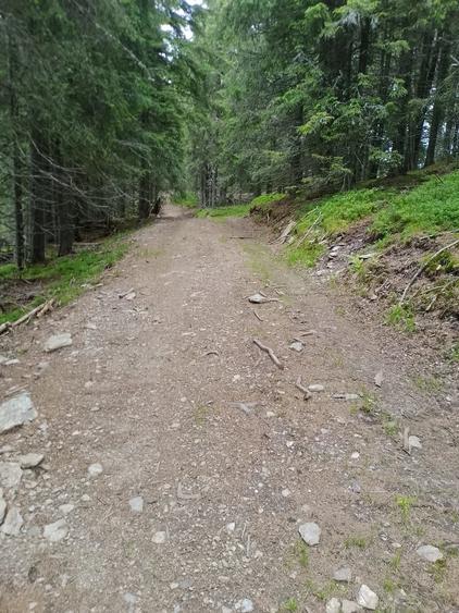 Teren de 25000 mp, în Central