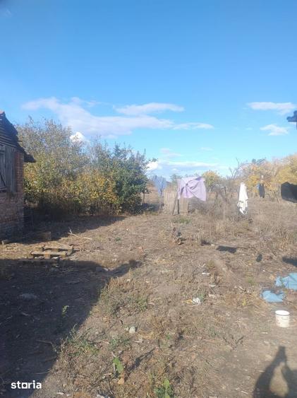 Casa de vanzare in Cenad aproape de ie?irea spre Ungaria- 739 - 1