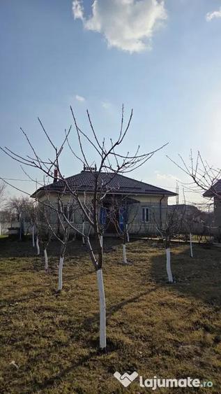 Casă cu 2 camere cu Teren 1500 Mp în Urzica
