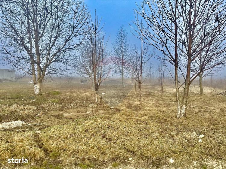 Teren de 500 mp, în Girov