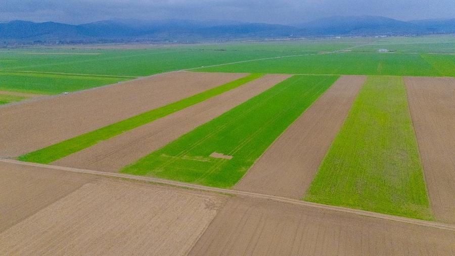 Teren agricol extravilan de 17700 mp, în Prejmer