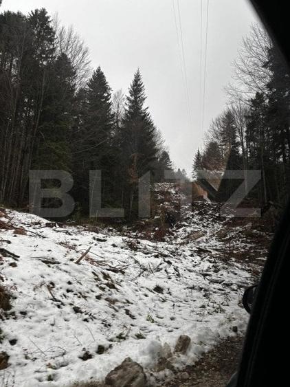 Teren Construcții intravilan de 4000 mp, în Calea Moroieni