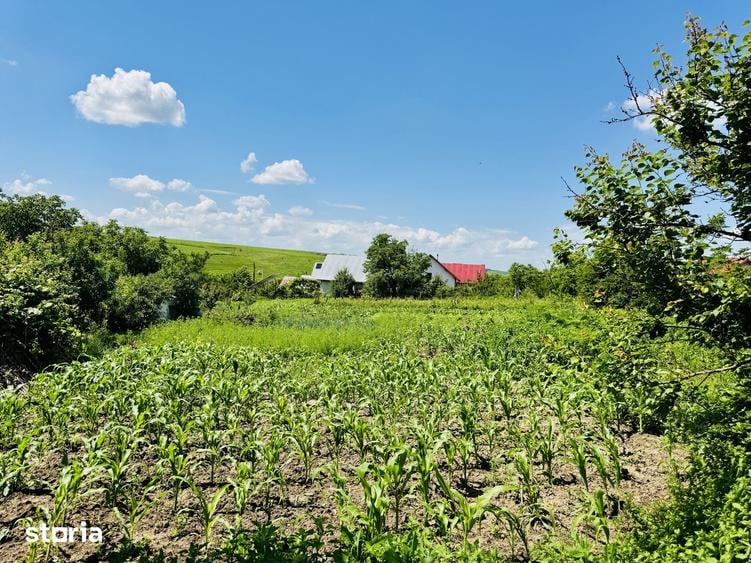 Teren de 2000 mp, în Aroneanu