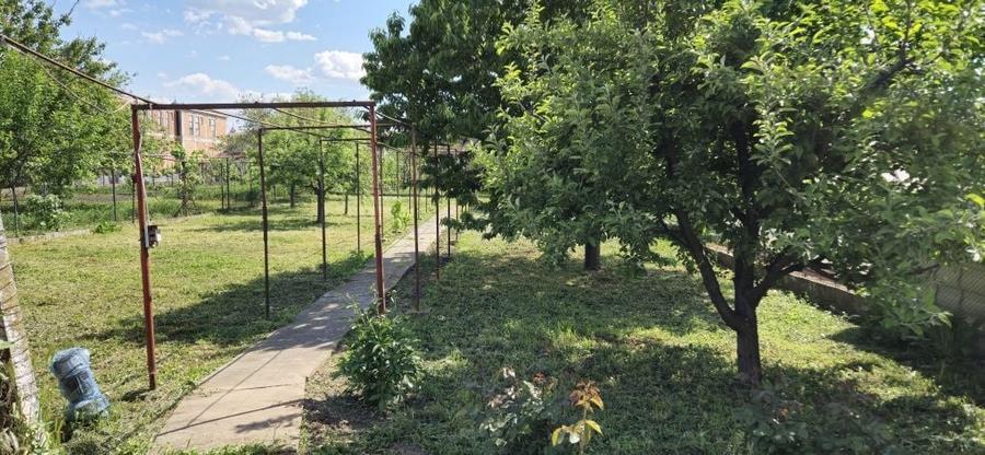 Casă cu 3 camere în Central