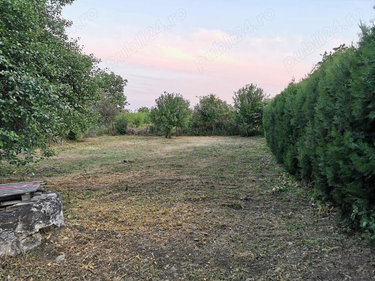 Teren de 664 mp, în Boldești