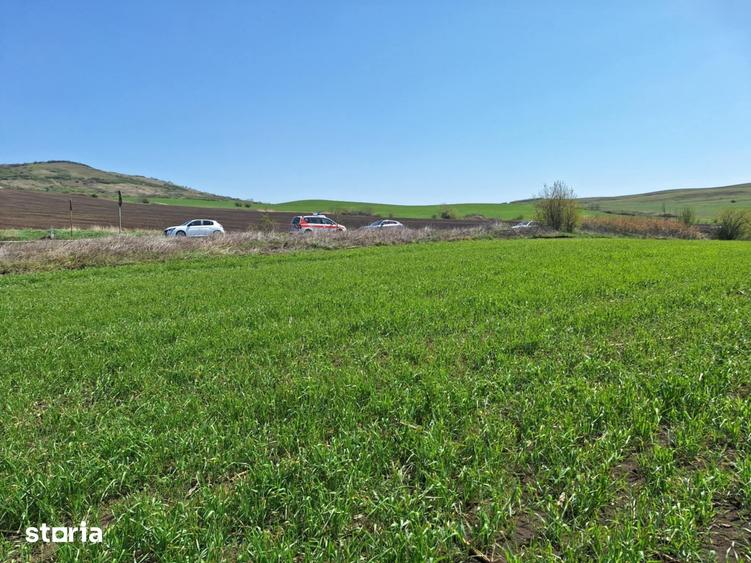 Teren de 52600 mp, în Unirea