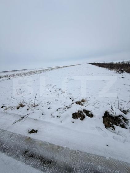 Teren agricol extravilan de 9000 mp, în Tărlungeni