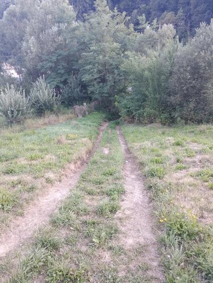 Teren de 9800 mp, în Pietrari