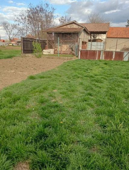 Casă cu 4 camere în Biharia