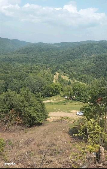Teren de 13800 mp, în Remetea Chioarului