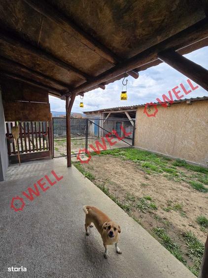 Casă cu Teren 1493 Mp în Ozun