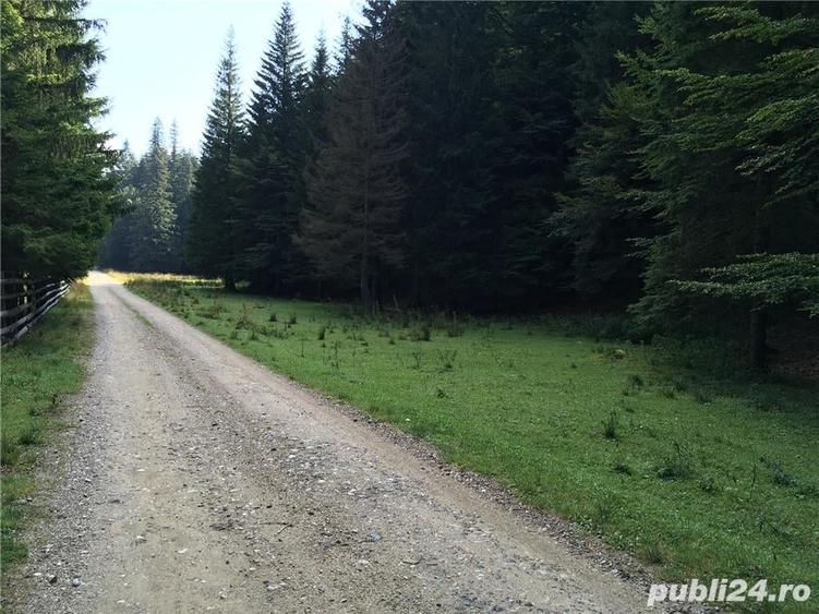 Teren de 3825 mp, în Vama Buzăului