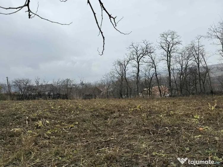 Teren de 2550 mp, în Rotunda