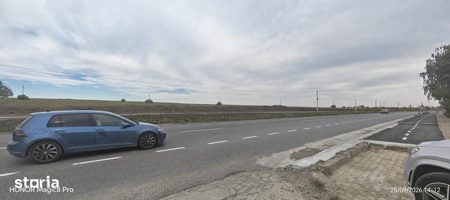 Teren de 25000 mp, în Movileni