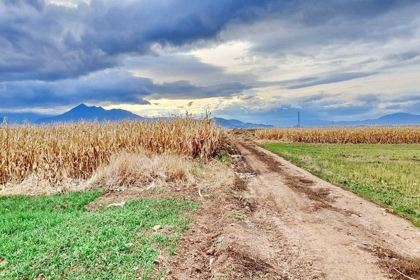 Teren agricol extravilan de 8400 mp, în Tărlungeni