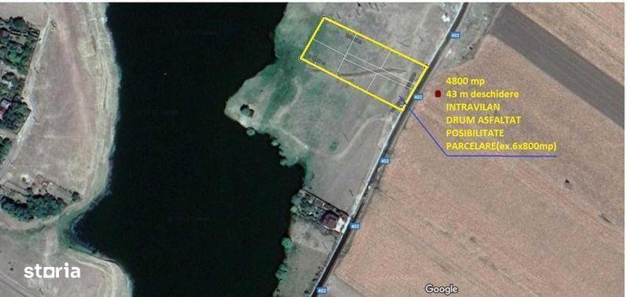 Teren de 4800 mp, în Tămădău Mare