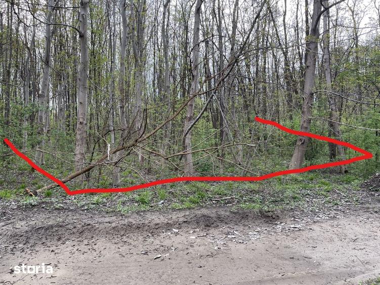 Teren 755 mp, Dem Radulescu, la 7 min de centrul orasului Rm Valcea - 5