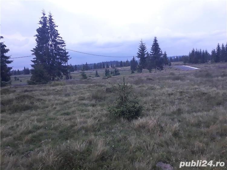 Teren în Beliș