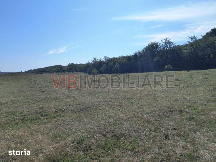 Teren de 7500 mp, în Central
