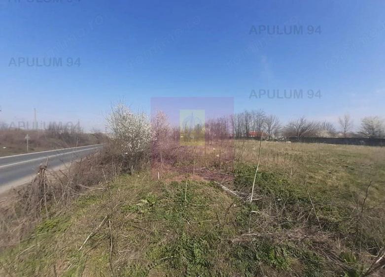Teren de 4800 mp, în Glina