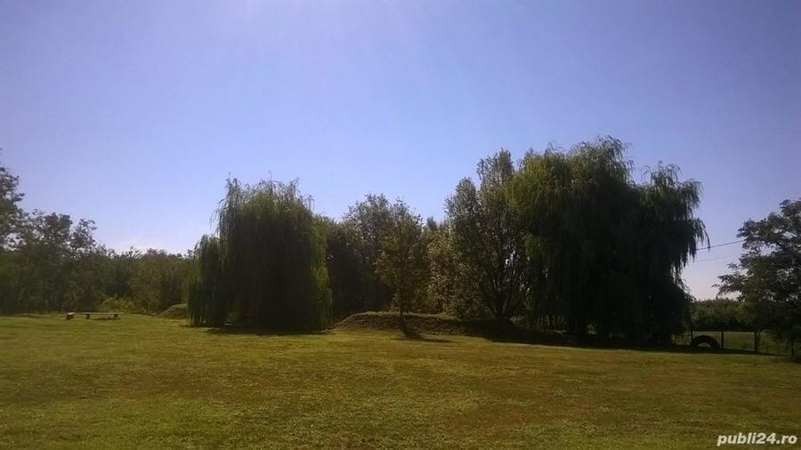 Casă cu Teren 6500 Mp în Șimian