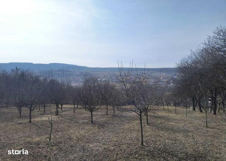 Teren de 1250 mp, în Chinteni