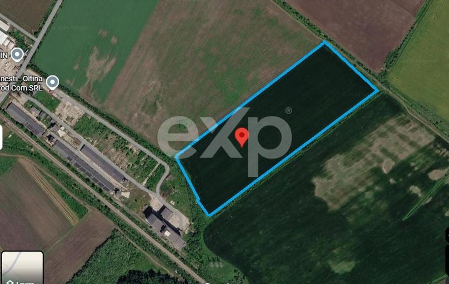 Teren agricol intravilan de 71300 mp, în Ciocănești