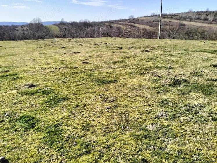 Teren de 10600 mp, în Crocna