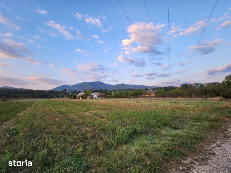 Teren de 8200 mp, în Alexandru cel Bun