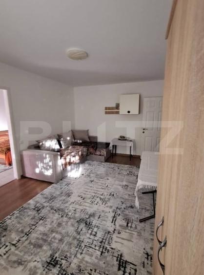 Apartament cu 2 camere nedecomandat, mobilat în Alexandru cel Bun