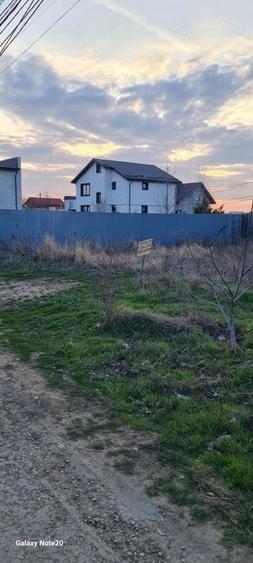 Teren intravilan Str Primaverii Berceni - 4