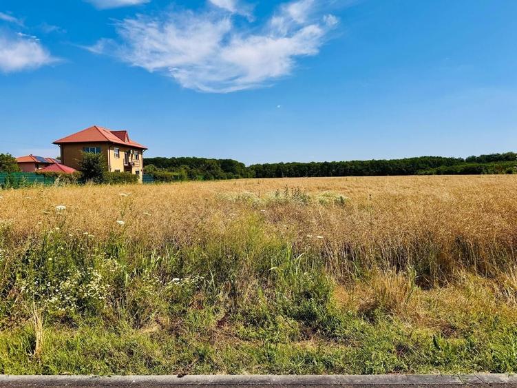 Teren Construcții intravilan de 1600 mp, în Ciofliceni