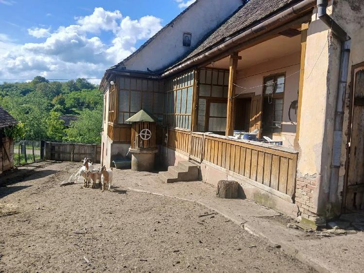 Casă cu 4 camere cu Teren 1075 Mp în Bălcaciu