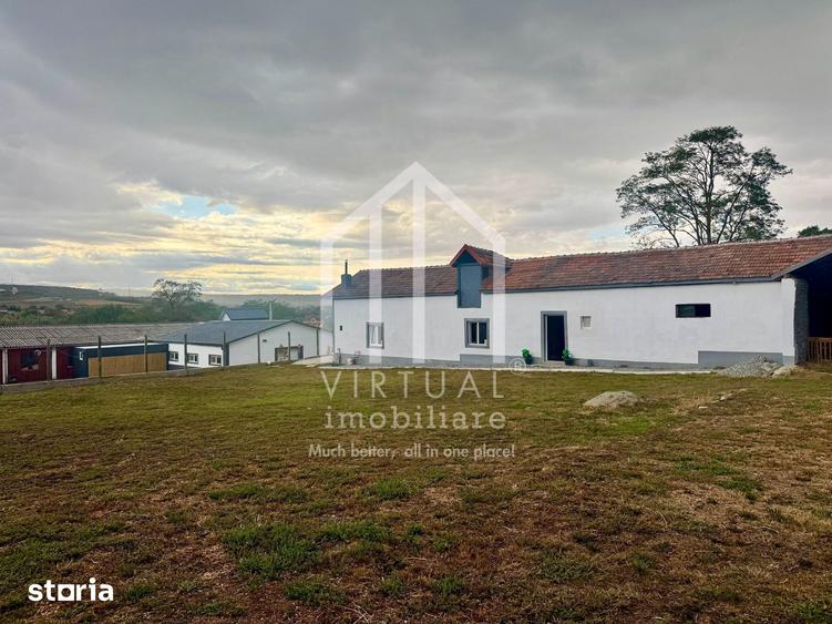 2 hale/depozite, 1850mp, deschidere 35m - Vestem - 7
