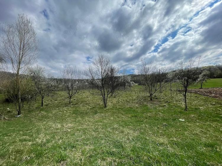Teren de 5755 mp, în Central
