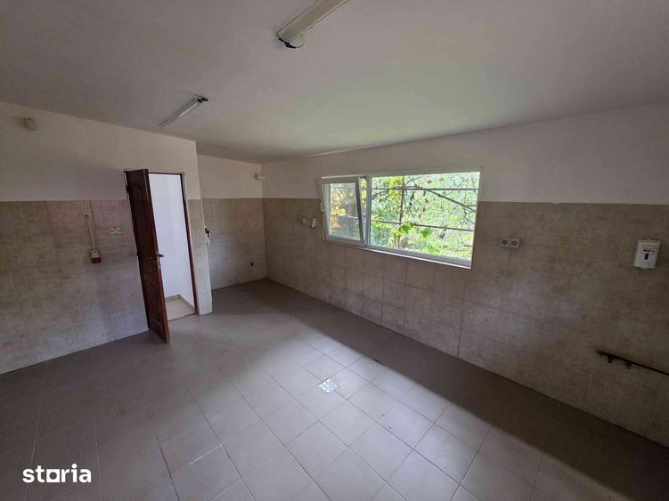 Spațiu comercial, de 60 mp, în Păulești