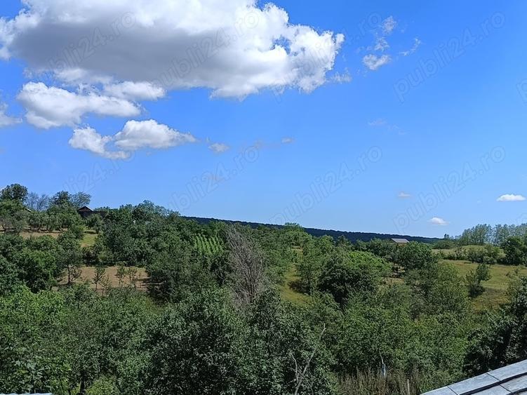 Teren de 2500 mp, în Dealu Cucului