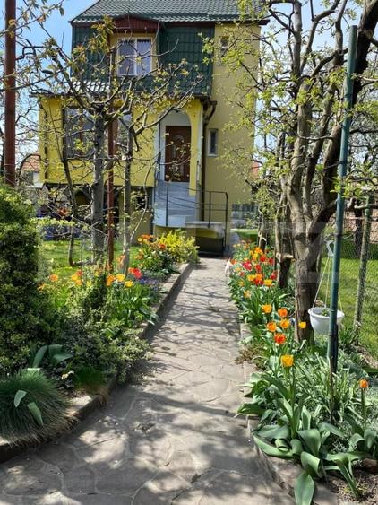 2 Proprietati, 320 mp utili, in centrul Turzii - 1